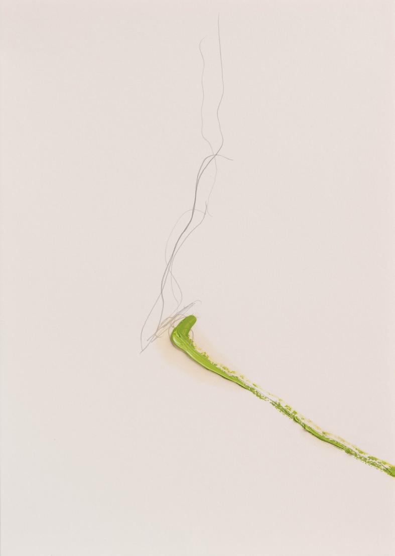 Thomas-Müller-Untitled-PH521-Pencil-and-oil-on-paper-29.7x21cm-2019