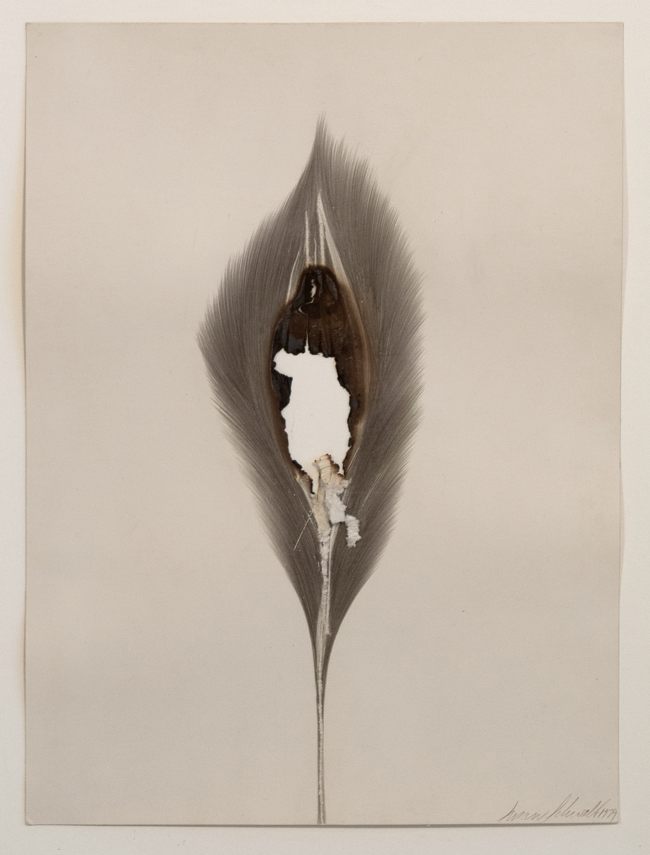Susan Schwalb - Abstract II, 12x9in. 1979. 
