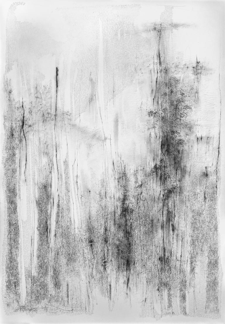 Catalina Chervin, Untitled I, Charcoal, pencil & ink on paper, ​​​​​​​150 x 105 cm, 2018-19