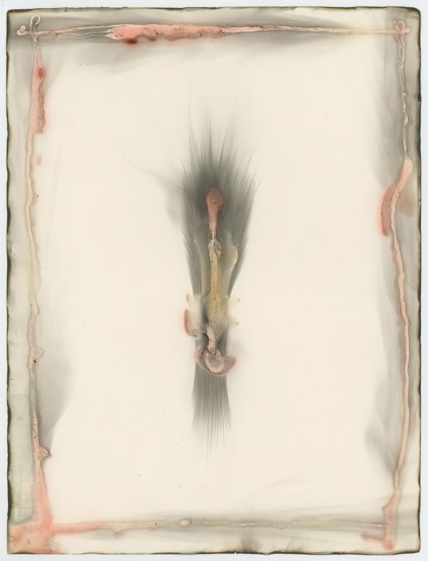 Susan Schwalb, Parchment XVIII, 1982