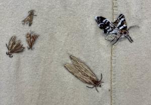 Susan Stockwell 'Tineis Erosus' Embroidered Blanket